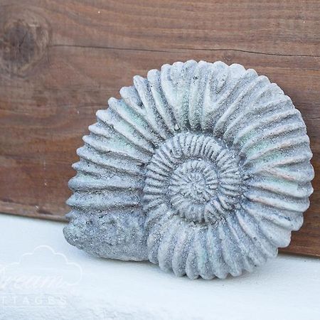 Ammonite Cottage Portland Buitenkant foto
