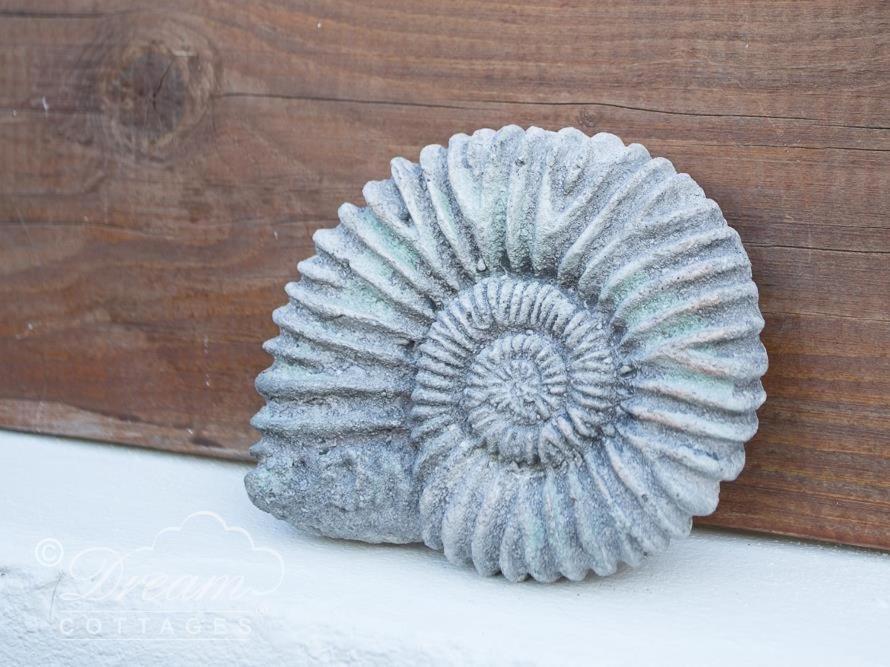 Ammonite Cottage Portland Buitenkant foto